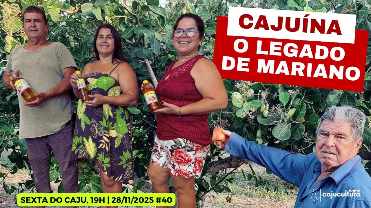 CAJUÍNA: O LEGADO DE MARIANO (SEXTA DO CAJU - 40ª EDIÇÃO )