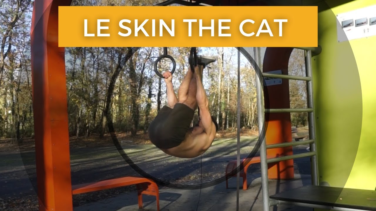 SKIN THE CAT with RINGS [Why practice it? + TUTORIAL]