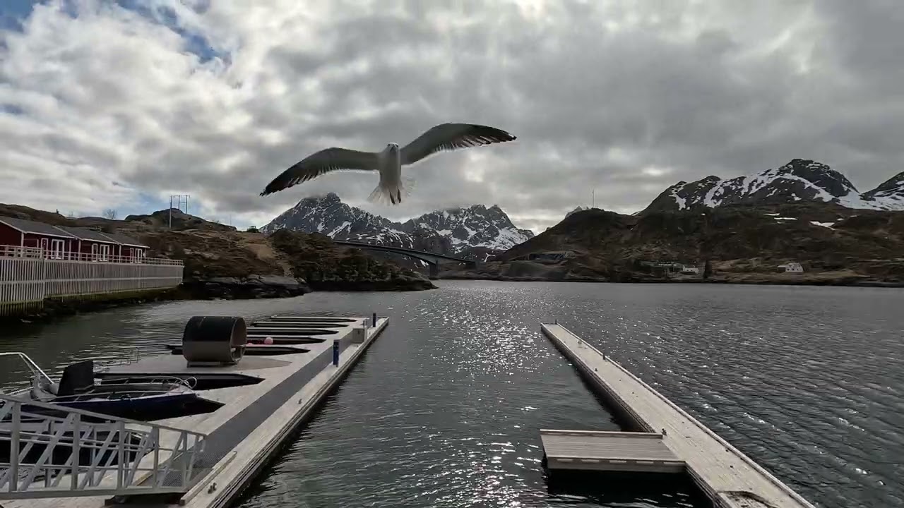 Timelapse in Ramberg, Lofoten, Norway