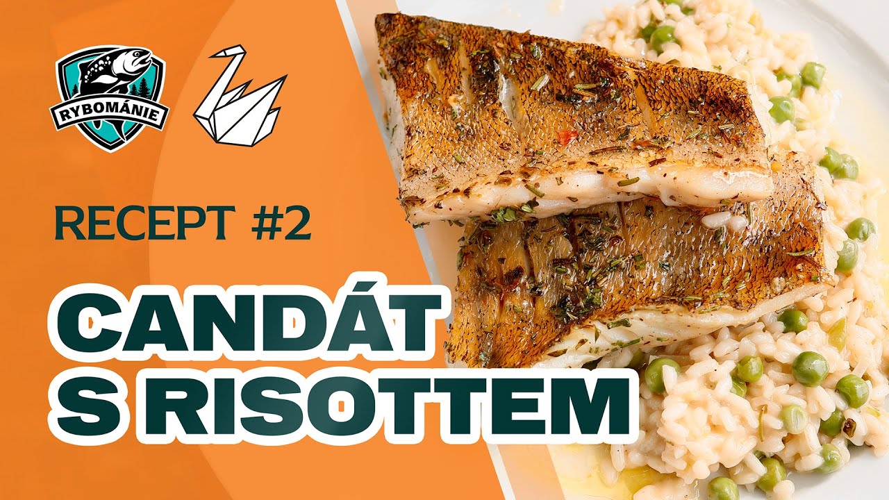 Candát s citrónovým risotem je naprostá deliktesa! / Recept na candáta, který musíme vyzkoušet!