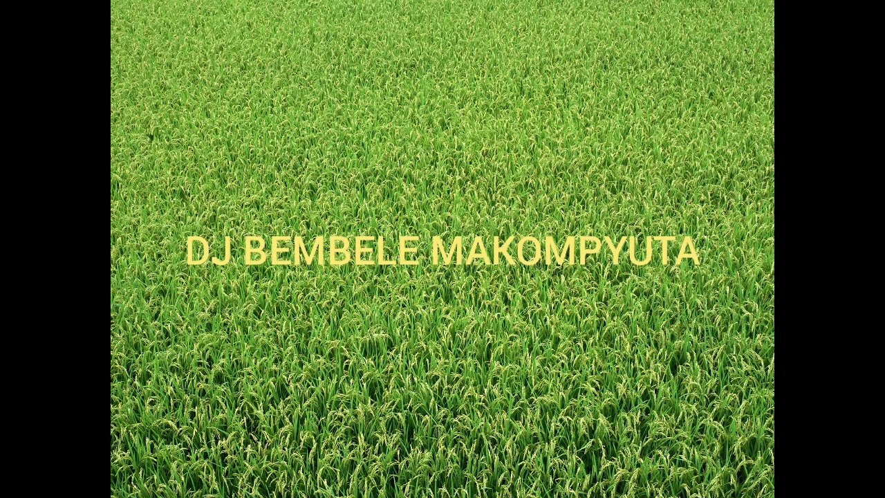 NKIMBILI NGWAMVA SONG SALE SALE 2026 AUDIO MPYA 0740176404