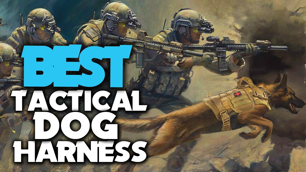 Best Tactical Dog Harness - best tactical dog harness in 2023 - top 5 tactical dog harness review ✅✅