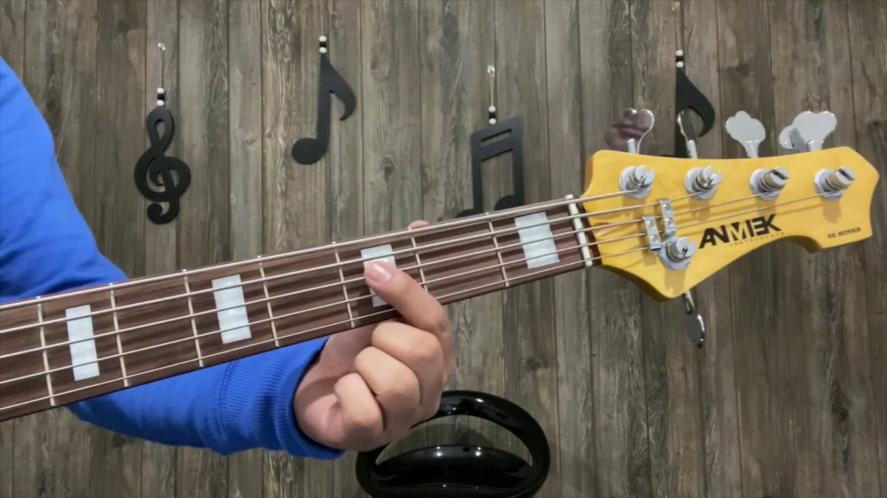 FIESTA Miel San Marcos TUTORIAL DE BAJO
