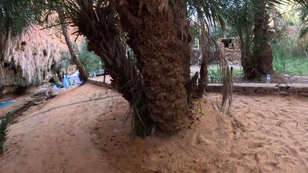 OASI di TERJIT, altopiano del Adrar