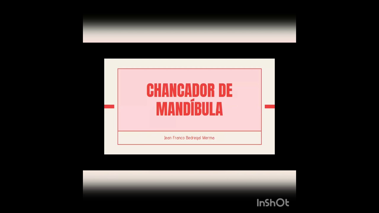 Chancador  de Mandibula