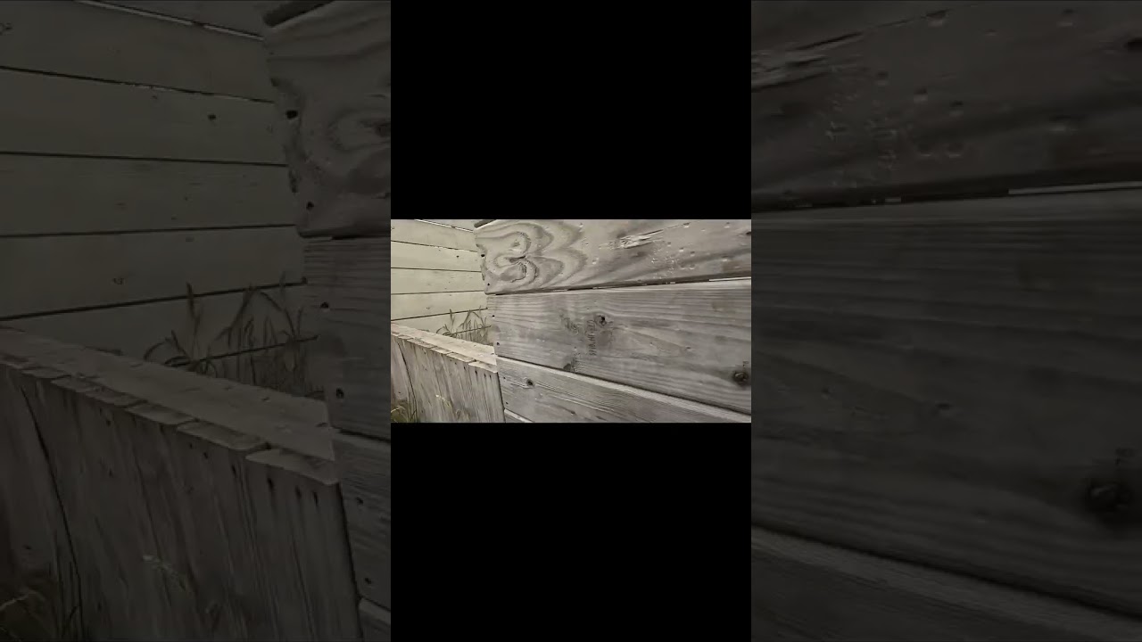 Warzone festival: Wellsy gets the most unconventional headshot! (Wait till end) 