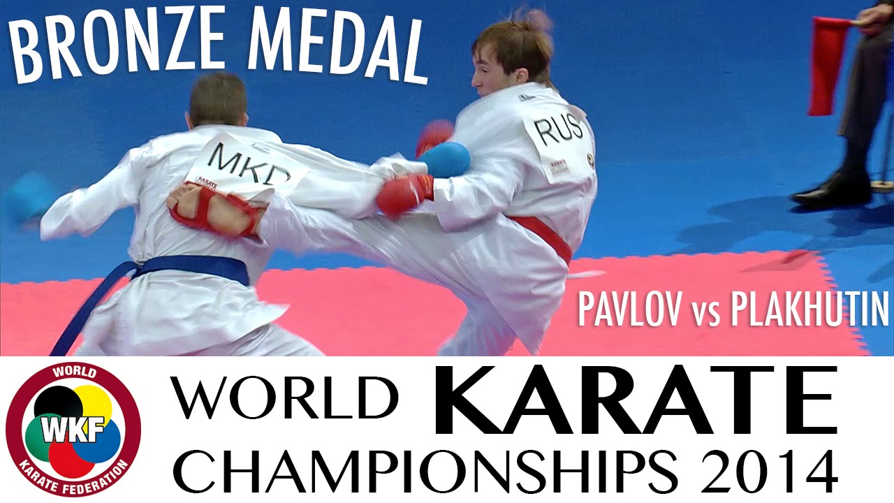 PAVLOV vs PLAKHUTIN. 2014 World Karate Championships. Male Kumite -60kg. Bronze Medal