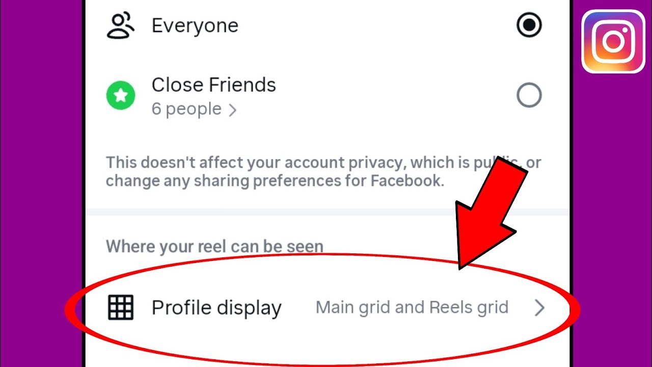 Instagram mein Profile display ka kya matlab hai | Main grid and Reels grid on instagram Reels 