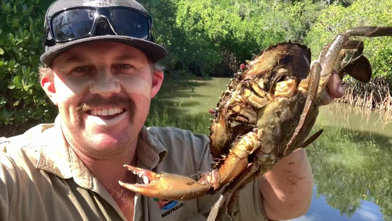 Searching for the elusive Rusty Monitor then catch an cook some delicious Mud Crabs