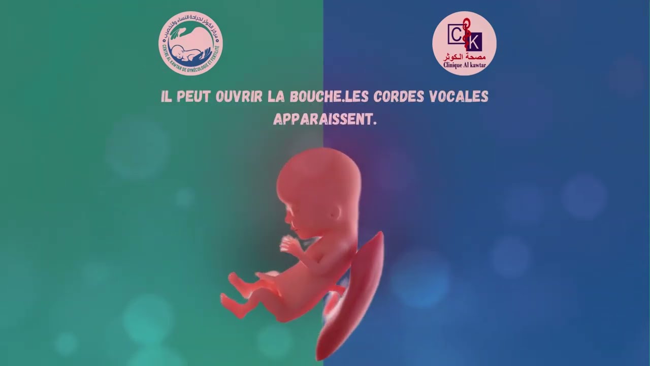 Les 9 Mois de Grossesse : Un Voyage de Développement pour Bébé