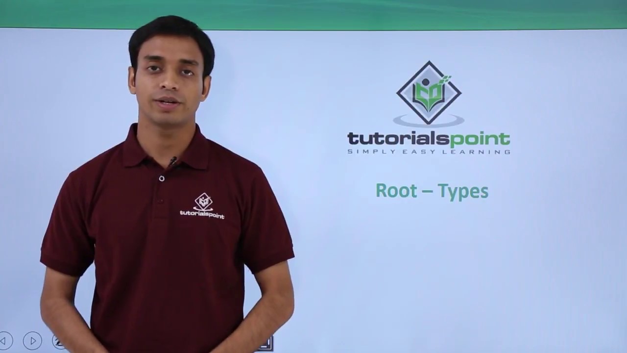 Class 11th – Root – Types | Morphology of Flowering Plants | Tutorials Point