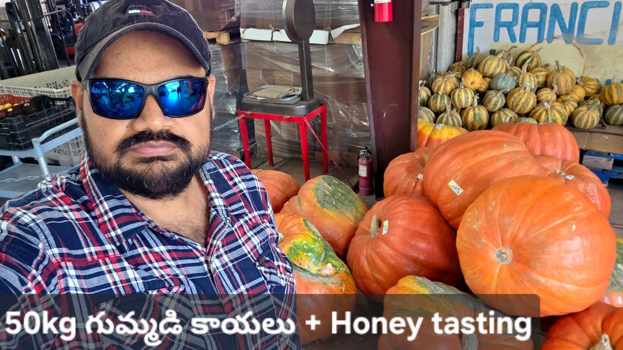 అమెరికాలో Highway మీద Fruit shop, Honey farm, 50 kgs giant pumpkins Farmlands usa telugu vlogs
