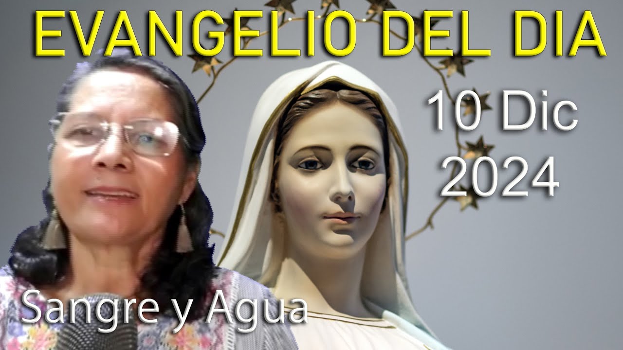 Evangelio Del Dia Hoy - Martes 10 Diciembre 2024- Sangre y Agua