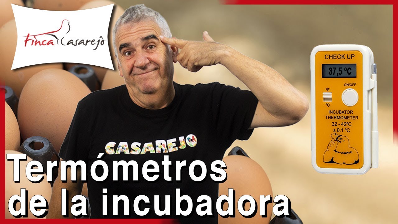 ¿Por qué el termómetro marca diferentes temperaturas dentro de la incubadora? - Incubación de huevos