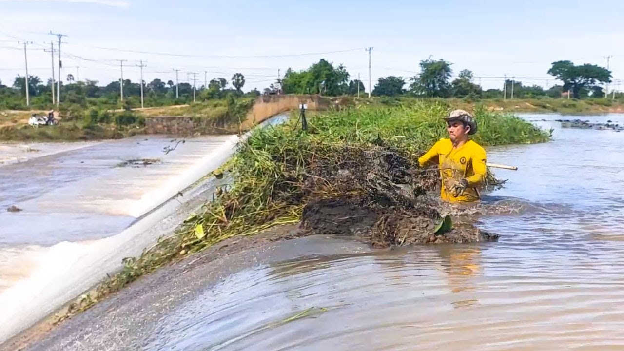To Avoid Traffic Jams, My Friend And I Remove Grass Growth Over Dam Drainage After Heavy Rain