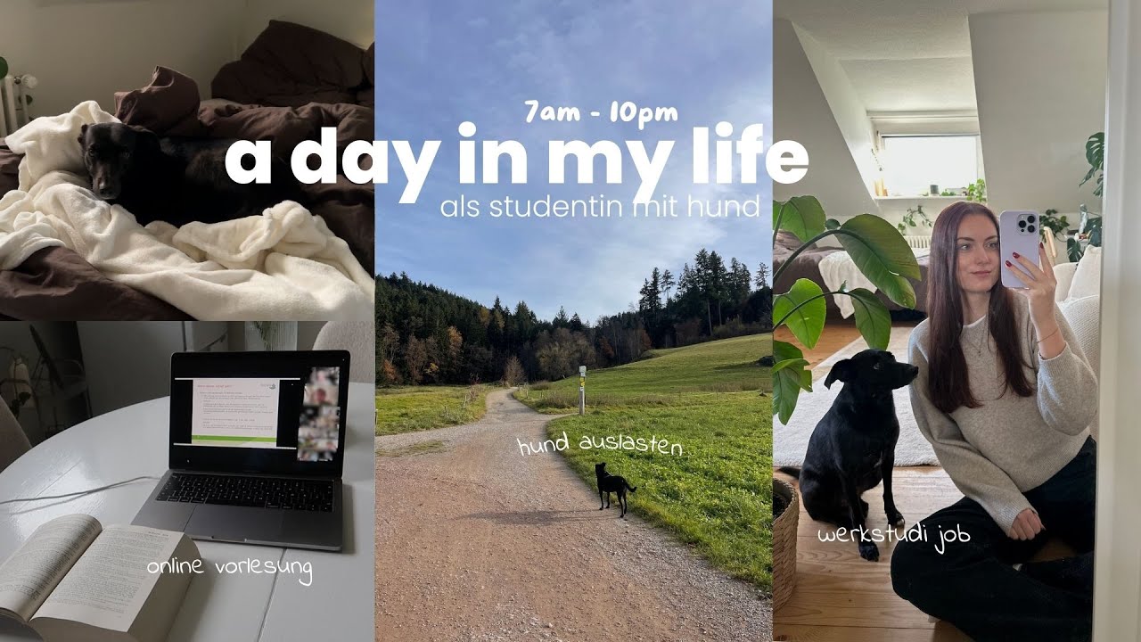 Ein Tag als Studentin mit Hund - So sieht unser Alltag aus