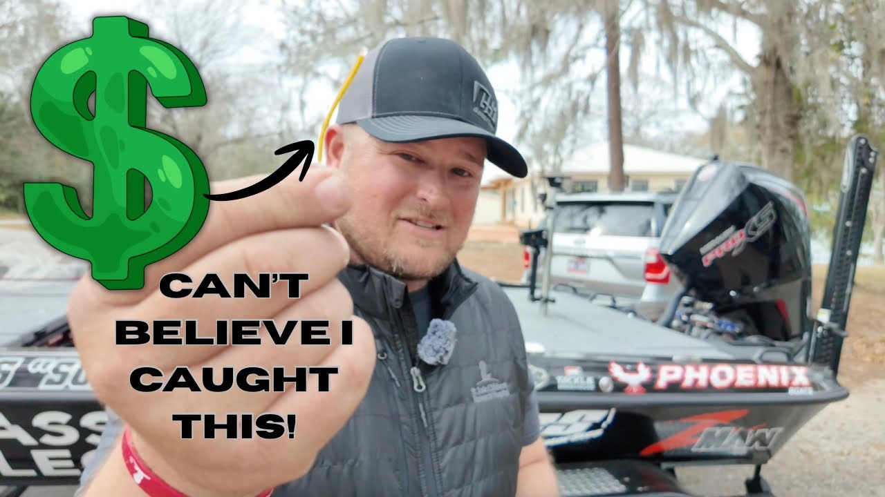 Не могу поверить, что поймал окуня с ВОТ ЭТОЙ приманкой! | Обзор тренировки SANTEE COOPER MLF Pro...