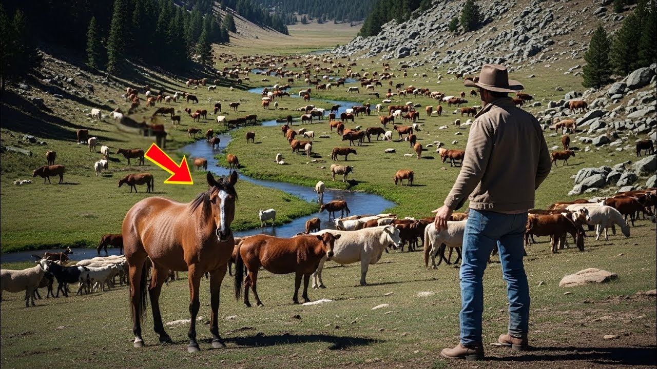 Er dachte, die Ranch sei leer … bis er entdeckte, dass dort heimlich 200 Tiere lebten