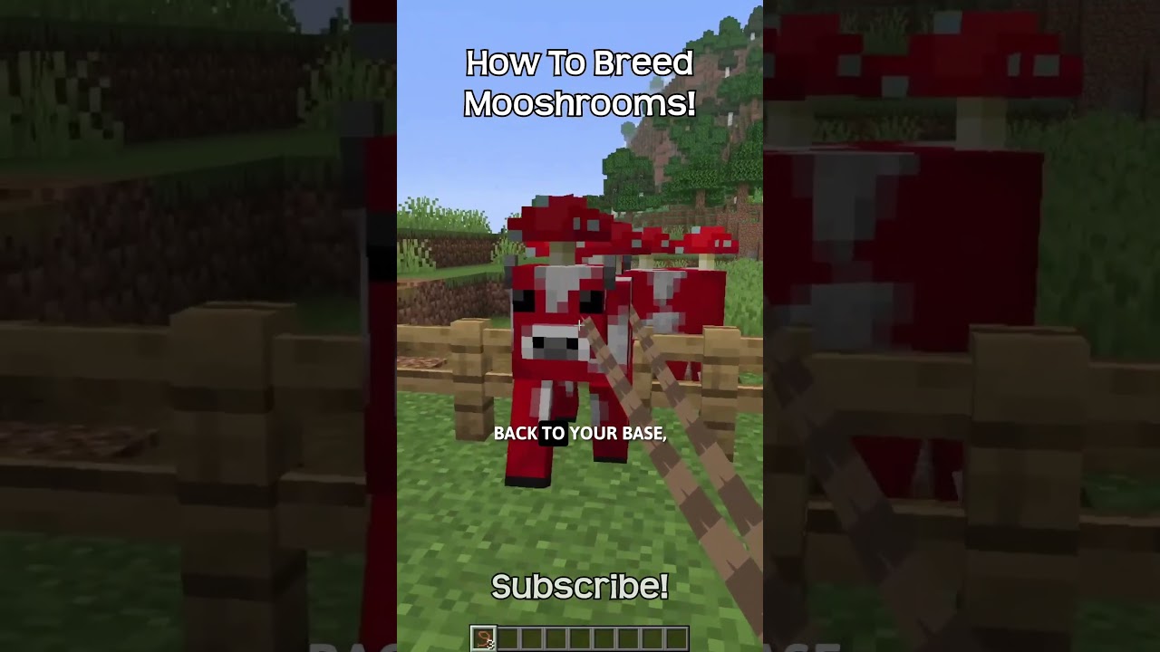 How To Breed Mooshrooms In Minecraft?!