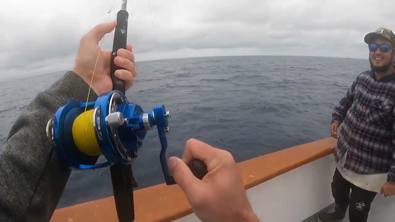AZTEC 100lb Bluefin
