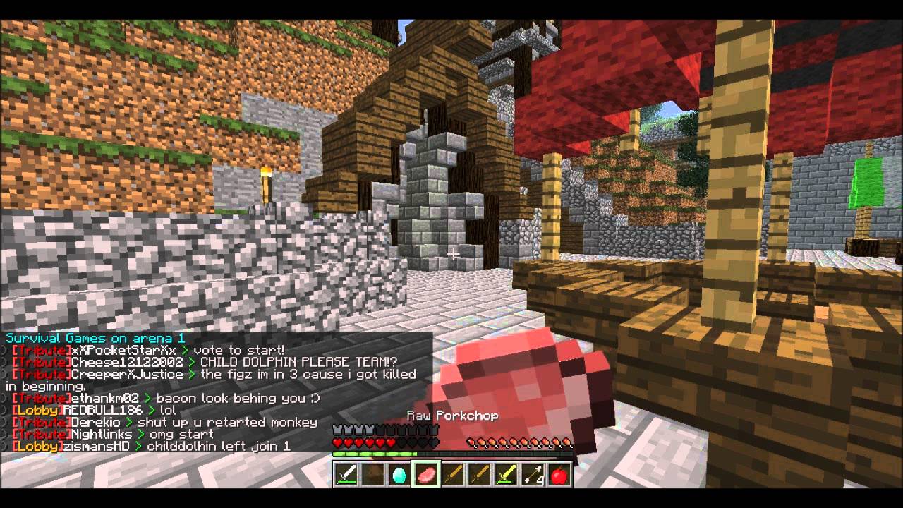 Minecraft Hunger Games- Epic BATTLE ft. TheSwiftMonster