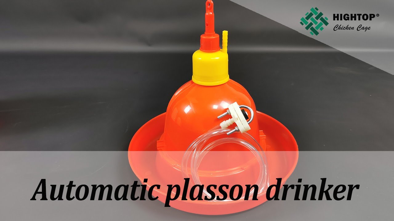 Automatic plasson drinker for layers and broilers