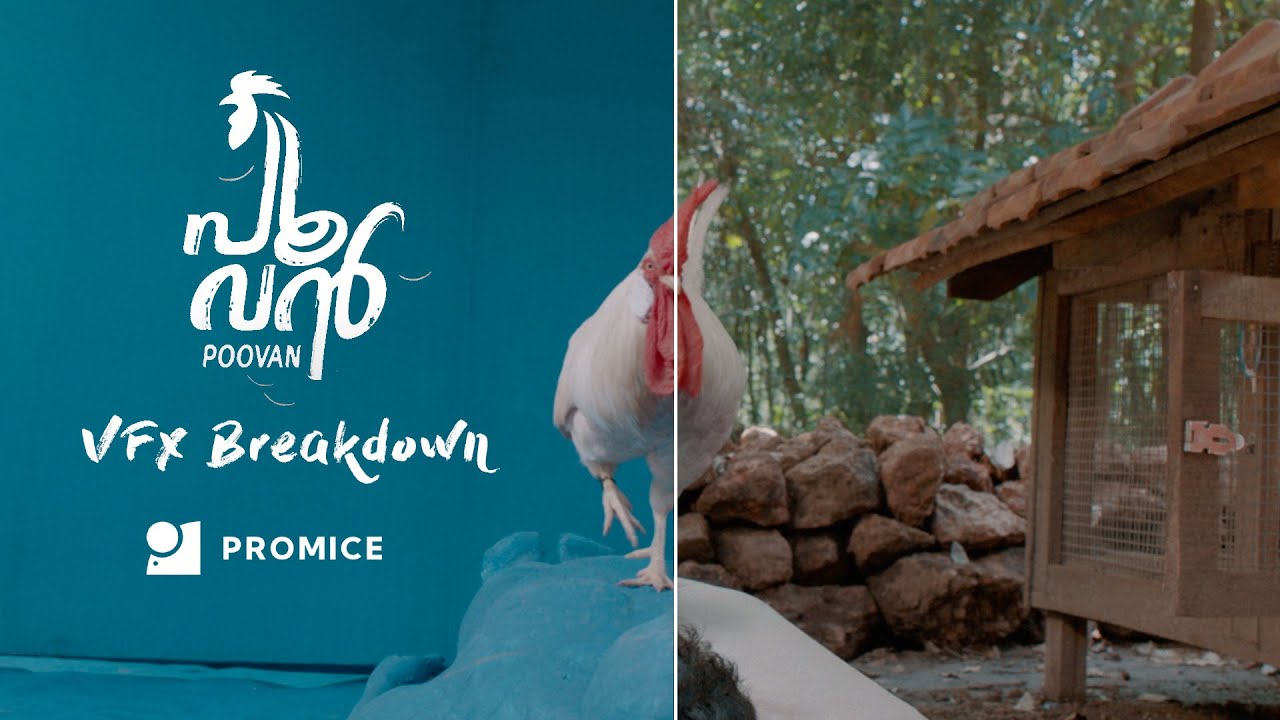 Poovan | VFX Breakdown | Antony Varghese | Promice Studios