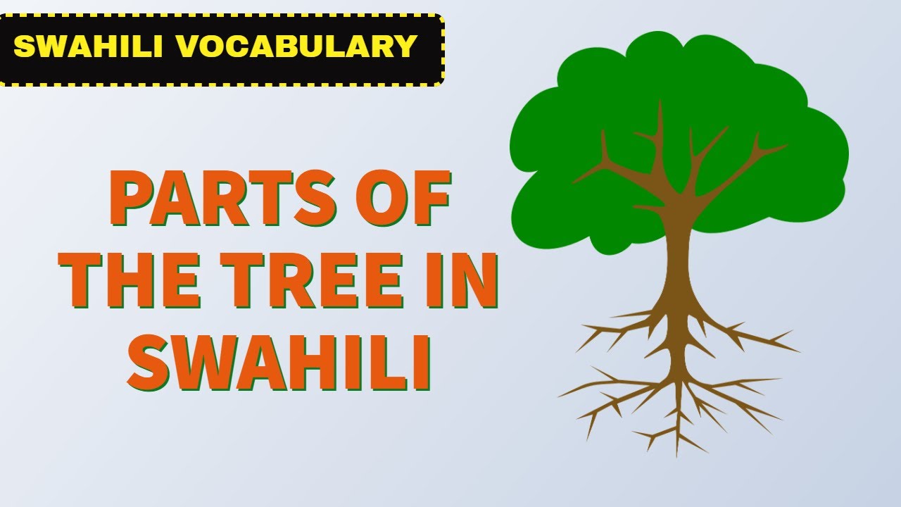 PARTS OF THE TREE IN SWAHILI