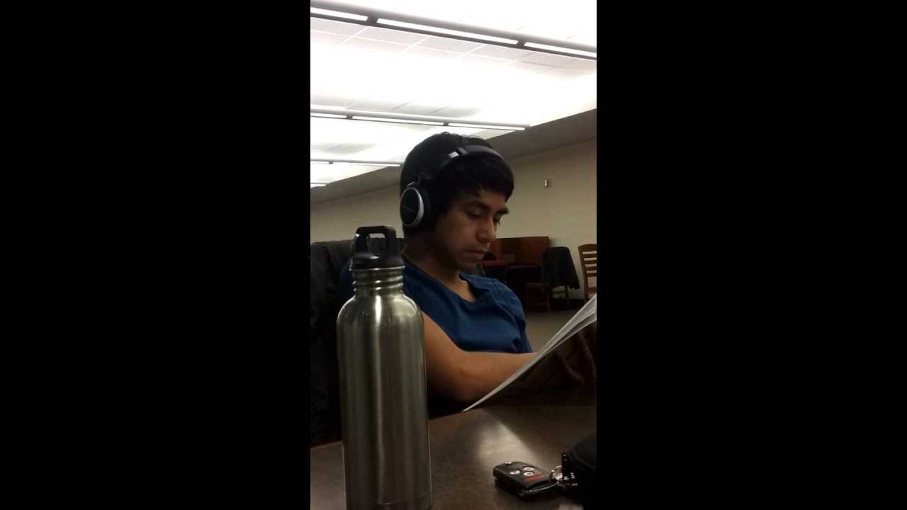 Wild Gino in its natural habitat