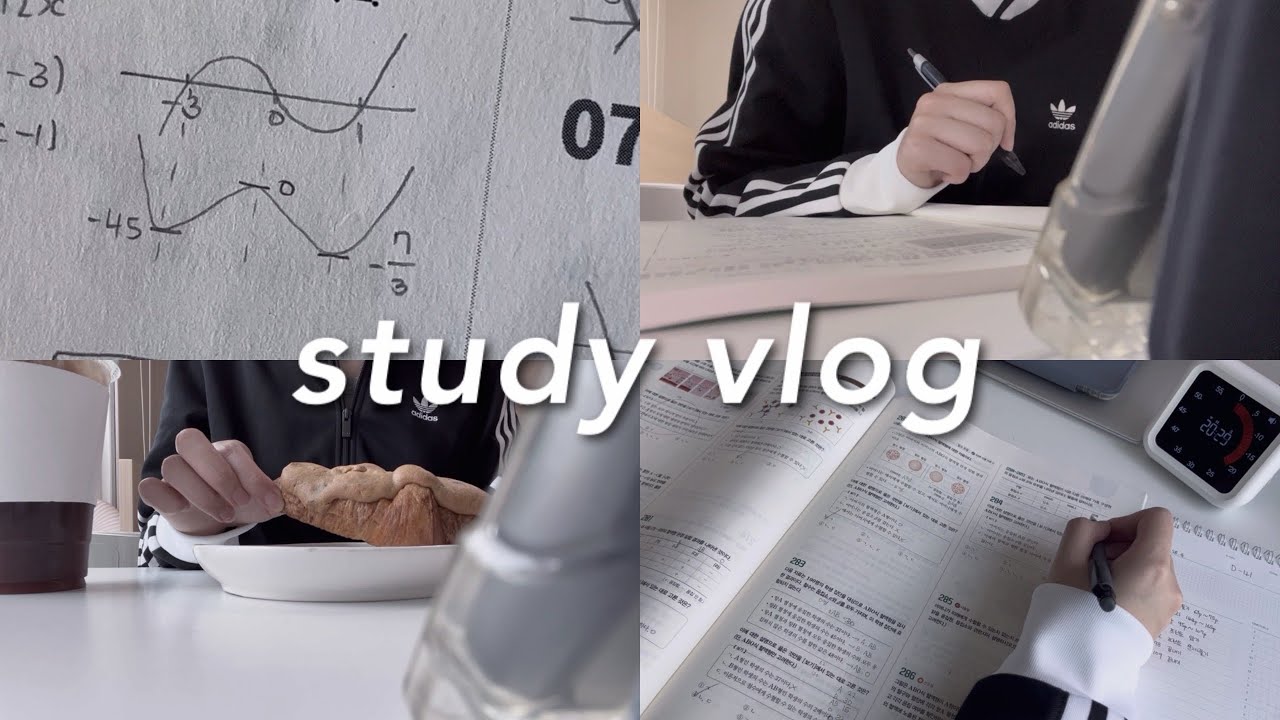 개학한 고2의 본격 내신 1.0 도전 브이로그 | study vlog • 무채색 브이로그 • 공부 브이로그