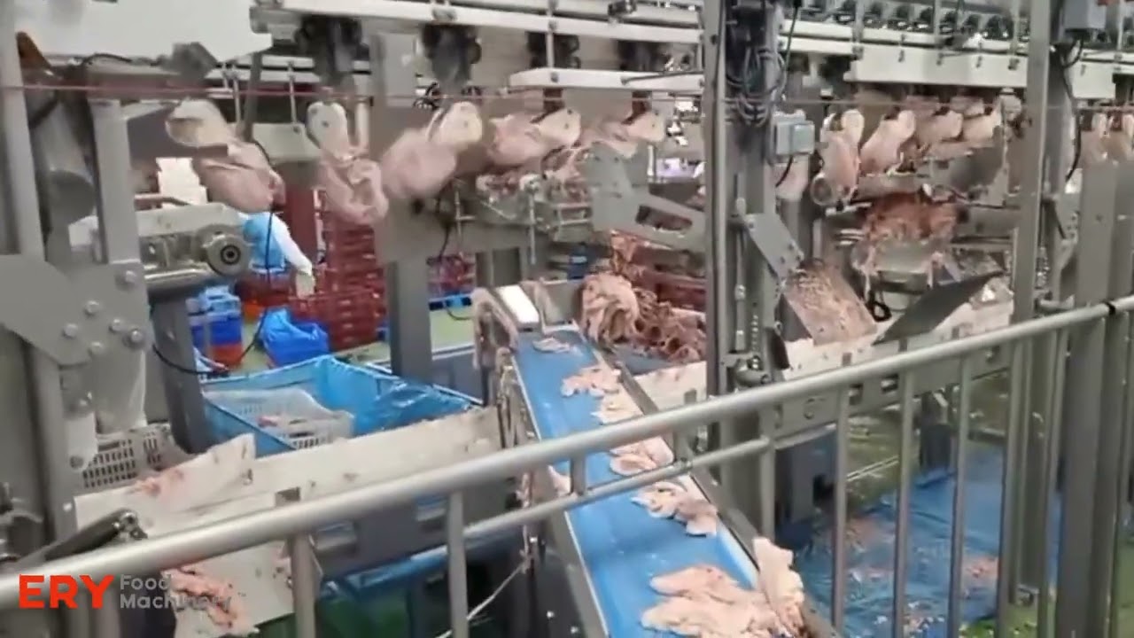 Marel FHF Chicken Deboning Line – Front Half Filleting System for Poultry Processing | ERY Food