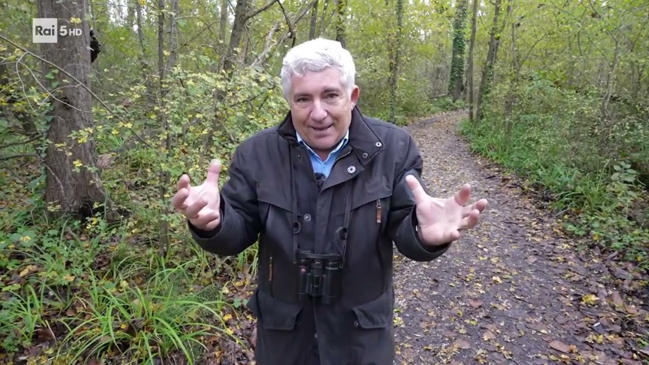 Wild Italy  La Sesta Estinzione (documentario)