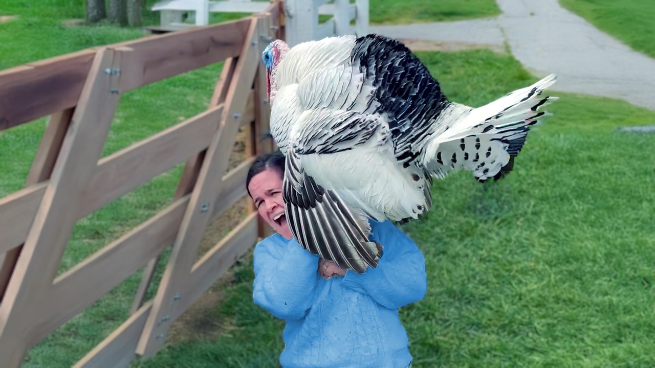 Most Humiliating Thanksgiving Fails 🦃 Caught on Camera