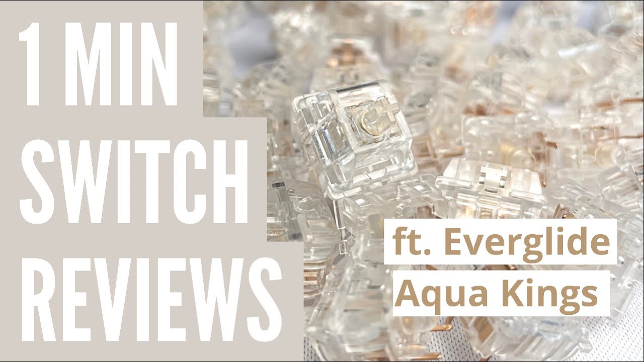 1 Min Switch Reviews - Aqua Kings