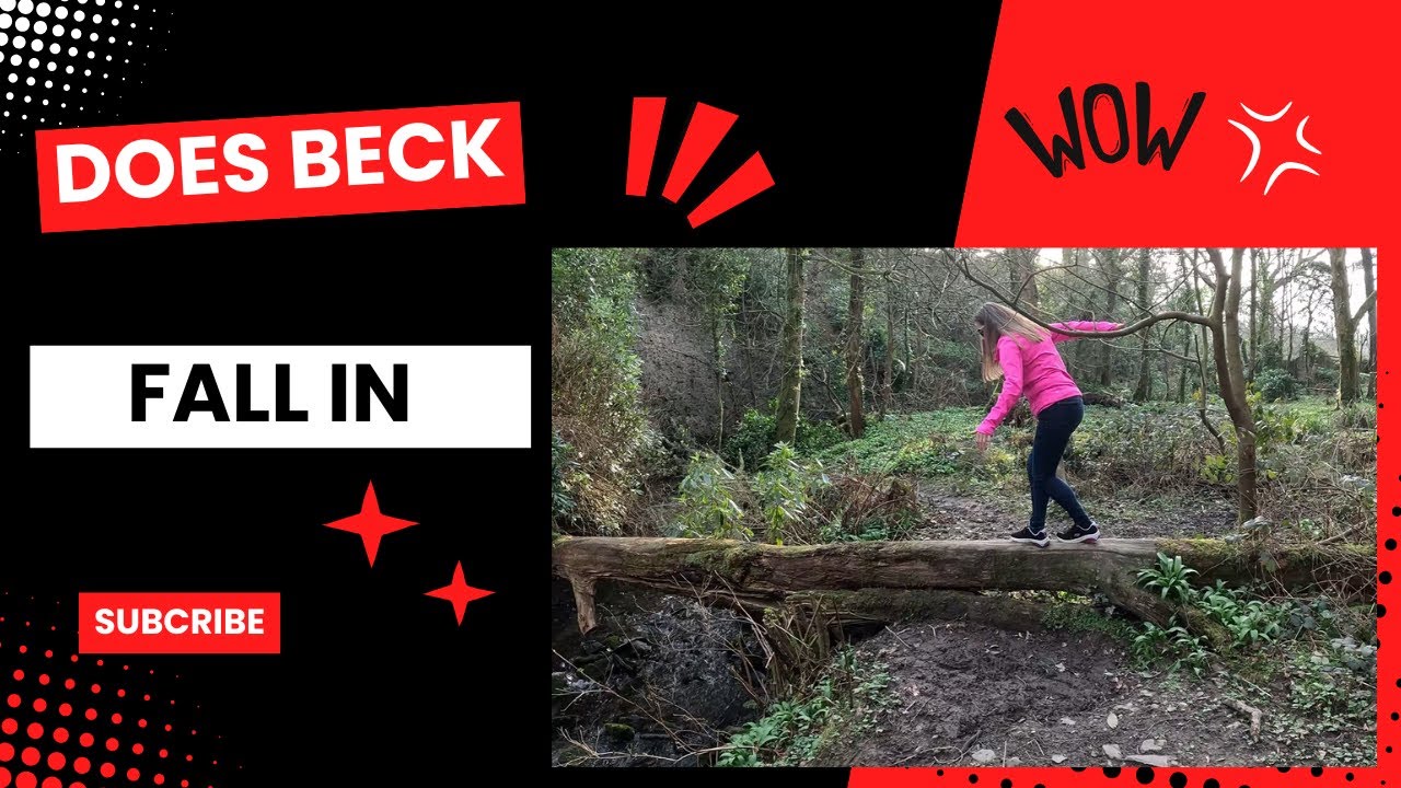 Van Life, Beck thinks shes at a circus