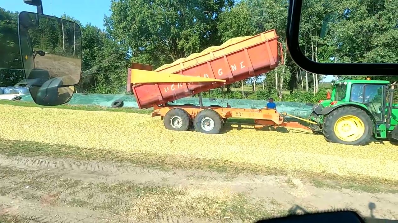 Akcja Kukurydza po sąsiedzku 🌽🌽🌽