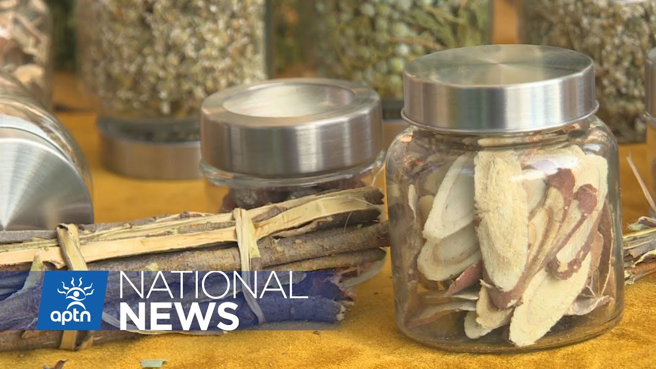 Sisters from Saskatchewan passing traditional medicine knowledge along | APTN News