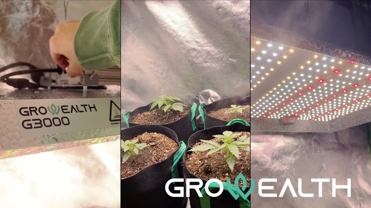 Grow Your Plants With Full-Spectrum LED Grow Light