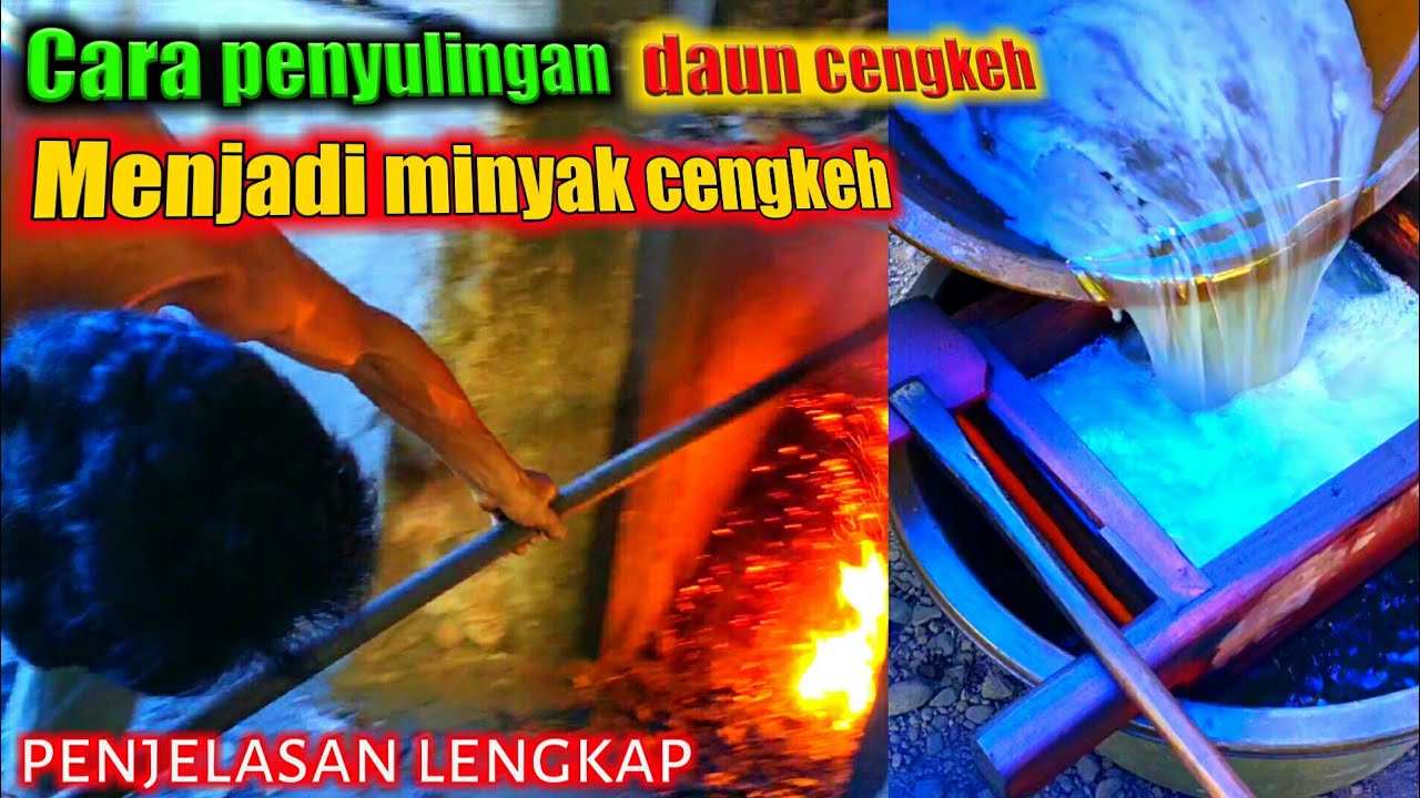 Penyulingan minyak cengkeh -kupas tuntas proses daun cengkeh menjadi minyak cengkeh