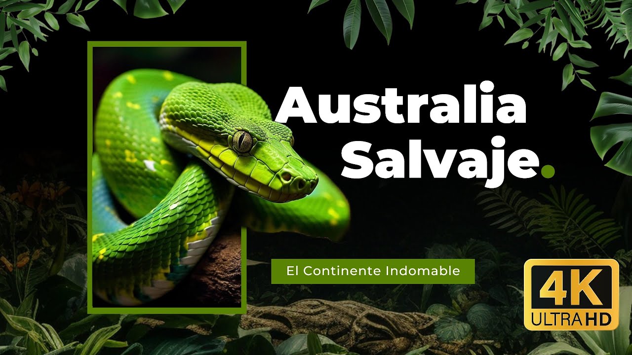 Australia Salvaje — El Continente Indomable
