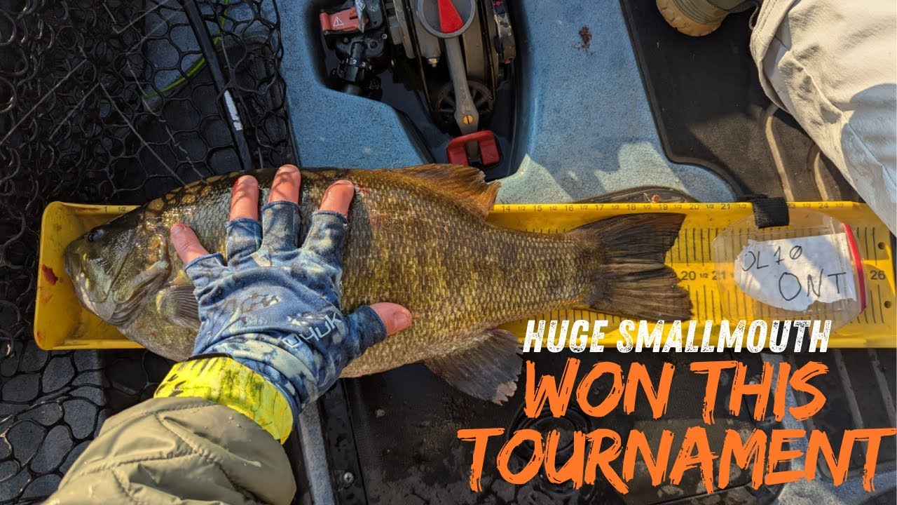 HUGE Lake Ontario Bass won me this tournament