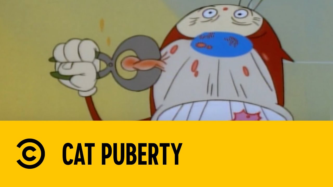 Cat Puberty | The Ren & Stimpy Show | Comedy Central Africa