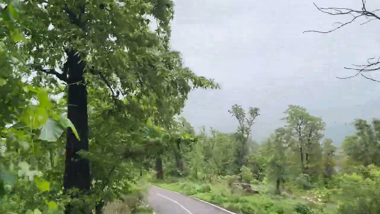 Ahwa-Dang Gujarat Forest Road Trip Beautiful Road Trip Dang 🌄🌦️🌳HD 4K VIDEO 📸