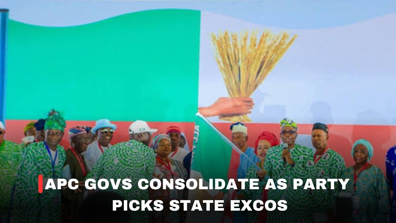 APC GOVS CONSOLIDATE AS PARTY PICKS STATE EXCOS
