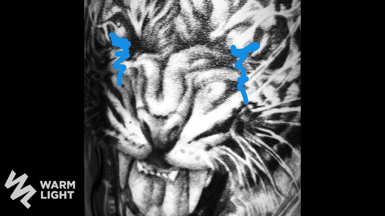 Lazyloxy - Tiger Cry Freestyle
