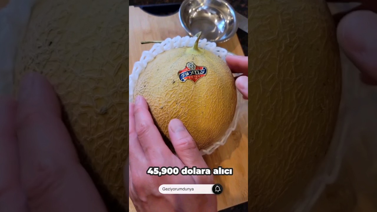 D&uuml;nyanın en pahalı meyvesi olarak kabul edilen Yubari Kavunu...#japon #yubari #melon #meyve