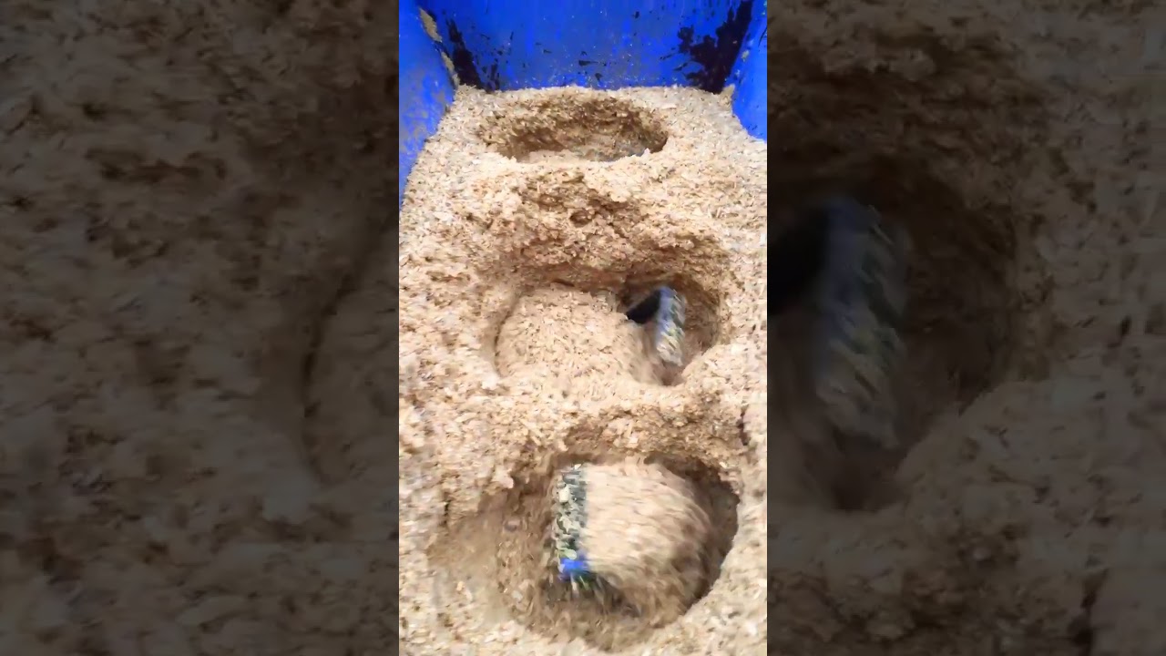 Reciclando Aserr&iacute;n , vigas 4/3.  Pronto la f&oacute;rmula 😱 #extruzora  #viral #viralvideo #viralshorts