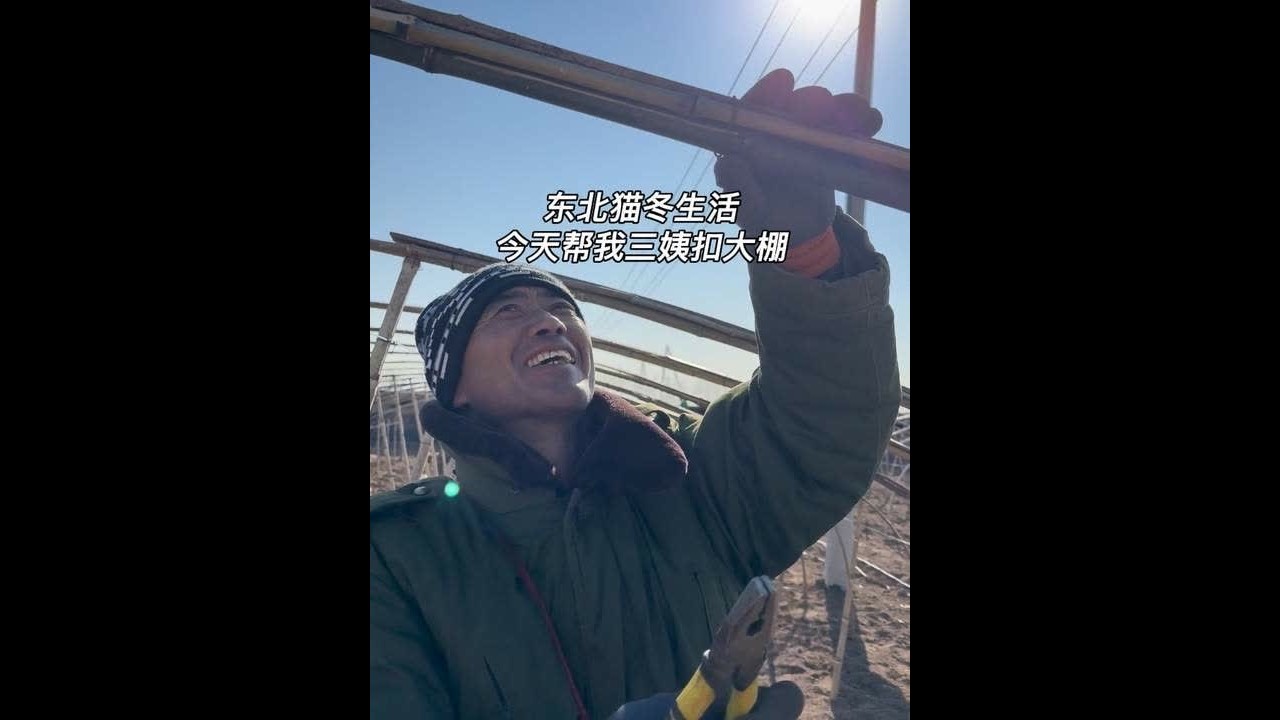 今天来我三姨家帮扣大棚啦 夏天准备种西瓜～农民真的就没有容易的，总有干不完的活呀！#东北猫冬生活 #记录我的农村生活 #农村的冬天就是闲不住