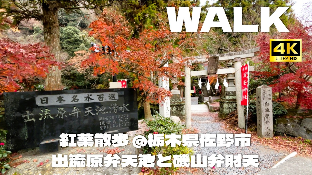 【紅葉散歩・4K】 栃木・佐野市　出流原弁天池と磯山弁財天｜錦鯉と秋景色 Walking Tour in Japan