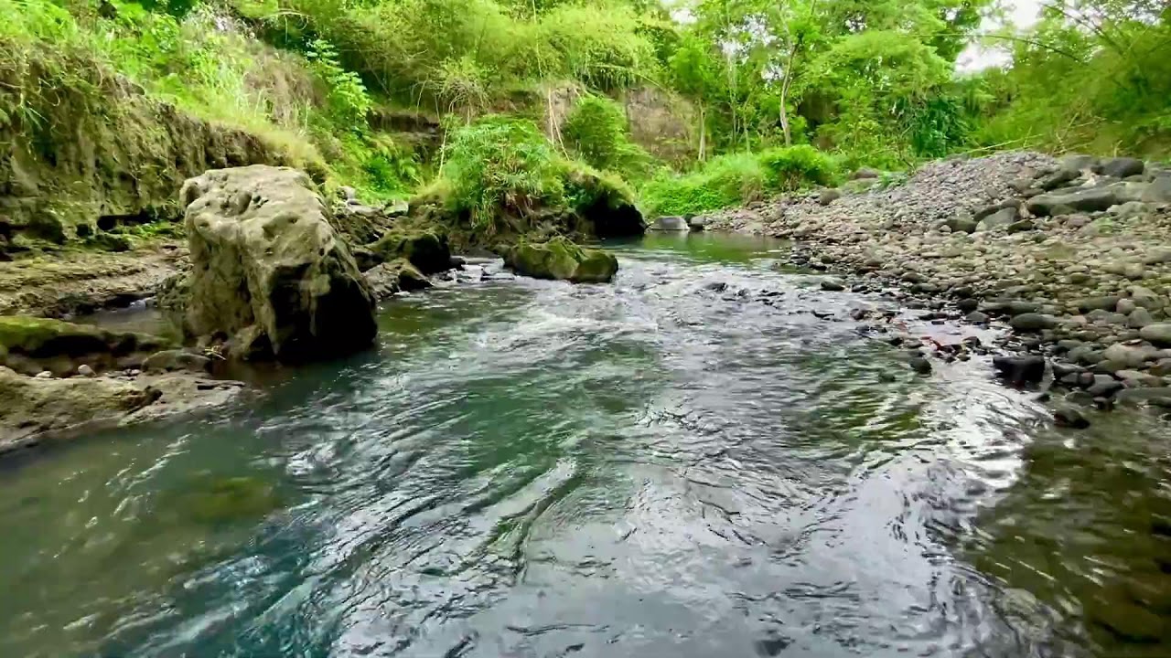 Soothing River Flow Therapy to Relieve Stress, Anxiety and Improve Sleep